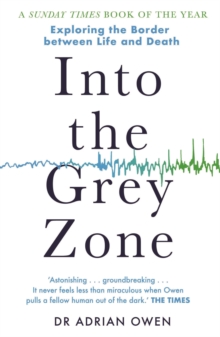 Image for Into the Grey Zone
