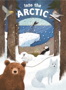 Image for Into the Arctic