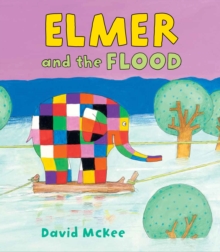 Image for Elmer and the flood