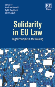 Image for Solidarity in EU law: legal principle in the making