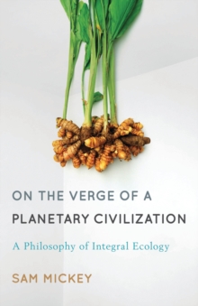 On the Verge of a Planetary Civilization