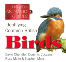 Image for Identifying common British birds