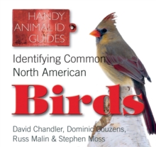 Image for Identifying common North American birds