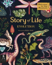 Image for Story of life  : evolution