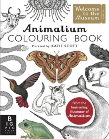 Image for Animalium Colouring Book
