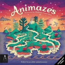 Image for Animazes