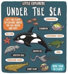 Image for Little Explorers: Under the Sea