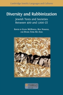 Image for Diversity and Rabbinization