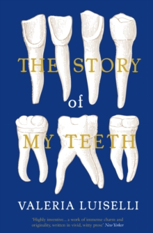 Image for The story of my teeth