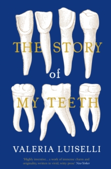 Image for Story of My Teeth: A Novel in Six Instalments