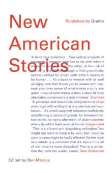 Image for New American Stories