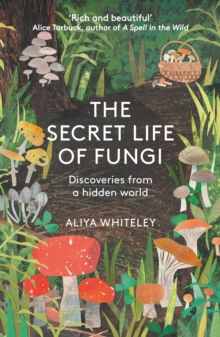 Image for The Secret Life of Fungi: Discoveries from a Hidden World