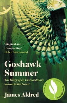Image for Goshawk summer  : a New Forest season unlike any other