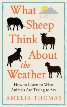 Image for What Sheep Think About the Weather