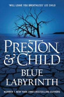 Blue Labyrinth