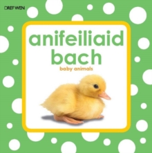 Image for Anifeiliaid Bach: Llyfr Bath Gwichlyd