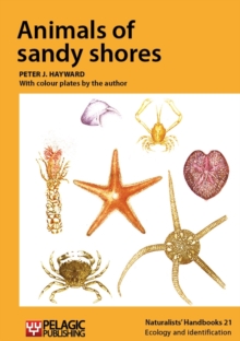 Image for Animals of Sandy Shores