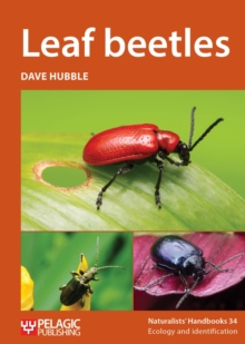 Image for Leaf beetles
