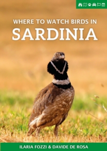 Image for Where to Watch Birds in Sardinia