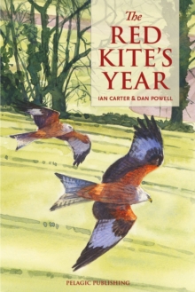 Image for The red kite's year