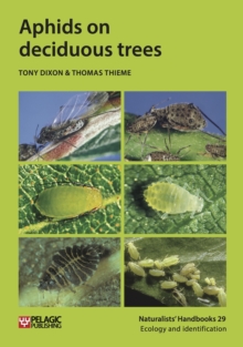 Image for Aphids on deciduous trees