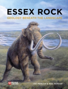 Image for Essex rock  : geology beneath the landscape
