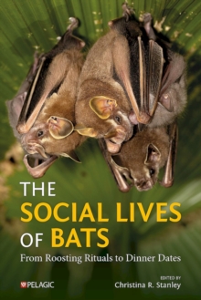 Image for The Social Lives of Bats