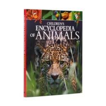 Image for Children's Encyclopedia of Animals