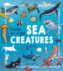 Image for Ready, Set, Draw! Sea Creatures