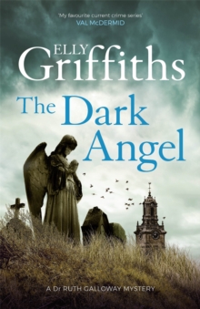 Image for The dark angel