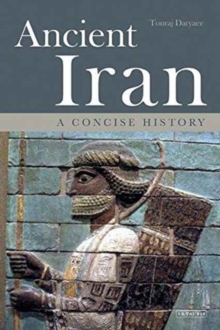Image for Ancient Iran : A Concise History