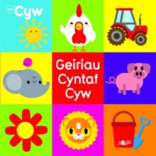 Image for Cyfres Cyw: Geiriau Cyntaf Cyw