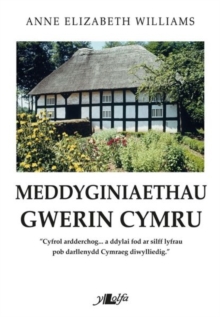 Image for Meddygaeth gwerin Cymru