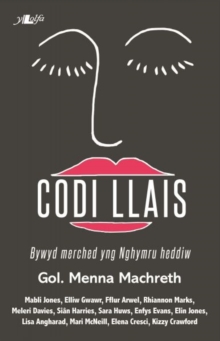 Image for Codi llais