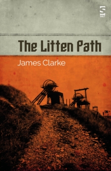 Image for The litten path
