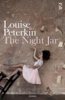 Cover for: The Night Jar
