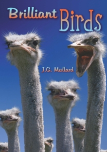Image for Brilliant birds