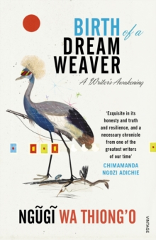 Image for Birth of a dream weaver  : a writer's awakening