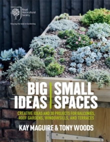 Image for Big ideas, small spaces  : cutting-edge ideas and 30 projects for balconies, roof gardens, windowsills, and terraces