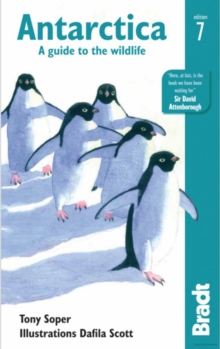 Image for Antarctica  : a guide to the wildlife