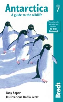 Image for Antarctica: a guide to the wildlife