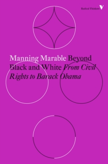 Image for Beyond Black and White: Rethinking Race in American Politics and Society