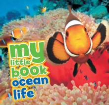 Image for My Little Book of Ocean Life