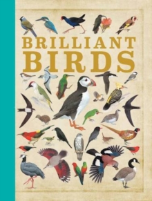 Image for Brilliant Birds