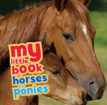 Image for My little book of horses and ponies