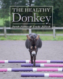 The Healthy Donkey