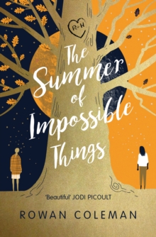 Image for The Summer of Impossible Things