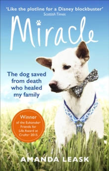 Image for Miracle  : the extraordinary dog that refused to die