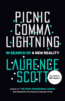 Image for Picnic comma lightning  : in search of the new reality