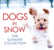 Dogs in Snow - the Ultimate Collection